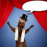 Overdramatic Showman Otter meme
