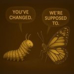 caterpillar "we're supposed to" to butterly