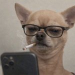 Dog text