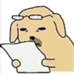 Confused dog