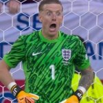 Jordan Pickford Shocked Face