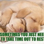 Sometimes you just need to take time out to rest | Sometimes you just need to take time out to rest | image tagged in cute puppies resting,autism,rest,downtime,recharge,time out | made w/ Imgflip meme maker