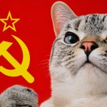 communist cat