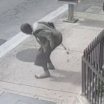 Street Pooper