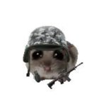 Sad military hamster
