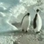 11 GIF Template