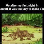 Title²⁰ | Me after my first night in Minecraft (I was too lazy to make a bed) | image tagged in gifs,funny,meme,memes,funny meme,relatable | made w/ Imgflip video-to-gif maker