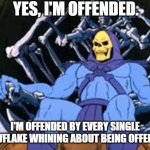 Offended Skeletor | Yes, I'm offended. I'm offended by every single snowflake whining about being offended. | image tagged in offended skeletor | made w/ Imgflip meme maker