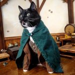 Hobbit Cat