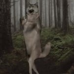 dancing wolf forest GIF Template