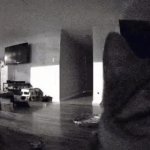 cat flashbang GIF Template