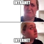 intranet vs internet | Intranet; Internet | image tagged in brittany broski meme | made w/ Imgflip meme maker