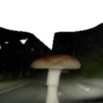 shroom yapping template
