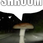 shroom | shroom | image tagged in shroom yapping,mushroom,shroom | made w/ Imgflip meme maker