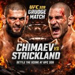 UFC 328