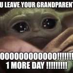 frt | when you leave your grandparents house; Noooooooooooooooo!!!!!!!!!!!!!!!!! 1 more day !!!!!!!!! | image tagged in crying baby yoda,sad | made w/ Imgflip meme maker