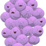 Member Berries
