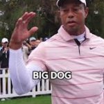 Happy Birthday Big Dog