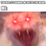 Angry cat | Clouds: *Drops a single water drop; Teacher: it's raining, we gotta stay inside. Me: | image tagged in angry cat | made w/ Imgflip meme maker