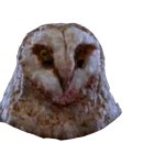 Irving Wallace's Owl Mask