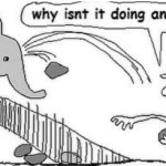 Guy throwing rocks at Elephant