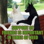 Support of friends is important in times of need | Support of friends is important in times of need | image tagged in looking back,autism,friends,support,struggle | made w/ Imgflip meme maker