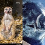 Horror Timon and Pumbaa