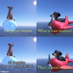 actually wisdom | 67 should be banned because its bad | image tagged in wisdom dog | made w/ Imgflip meme maker