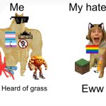 Me VS MY HATERS | Me; My haters; Ever Heard of grass; Eww | image tagged in memes,buff doge vs cheems,funny,treasure vs trash,67,anti furry | made w/ Imgflip meme maker