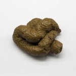 Poo