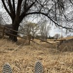 Feet in the dead Colorado grass