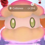 Dynamax Cottonee TFW