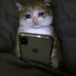 Sad Cat