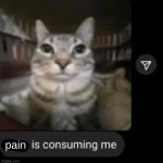 it hurts | pain | image tagged in rage is consuming me,pain | made w/ Imgflip meme maker