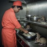 Hantavirus Chef meme