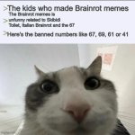 Imgflip kids users be like | The kids who made Brainrot memes; The Brainrot memes is unfunny related to Skibidi Toilet, Italian Brainrot and the 67; Here's the banned numbers like 67, 69, 61 or 41 | image tagged in cat looks inside | made w/ Imgflip meme maker