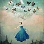 butterfly