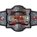 Stone Cold X Division title shot
