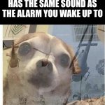 Happened to me Today | When an alarm goes off at school and it has the same sound as the alarm you wake up to | image tagged in ptsd chihuahua,fun,flashback,alarm clock,school | made w/ Imgflip meme maker