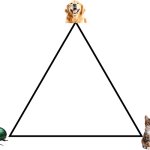 Dog cat bug triangle