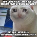 This is the work that never ends | How come when I say I'm bored, my boss gives me a bunch of work; But when I say I'm tired, and stressed, the same thing happens? | image tagged in crying cat | made w/ Imgflip meme maker