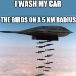 Gooddamn birds!! | I Wash my car; The birds on a 5 km radius | image tagged in stealth bomber,car wash,birds,shit | made w/ Imgflip meme maker