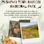 Safari Tour Nairobi National Park