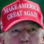 trump maga hat template