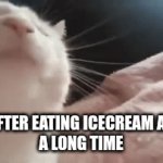 MMM... I'm loving it | me after eating icecream after
a long time | image tagged in gifs,cat | made w/ Imgflip video-to-gif maker