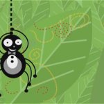 Spider wants to know your location