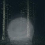 Man From the Fog