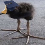 GRADUATION!!!