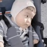 asdf GIF Template