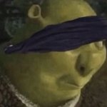 Shrek birdbox